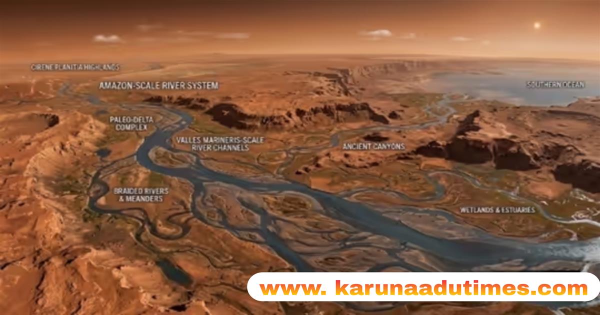 Category Image