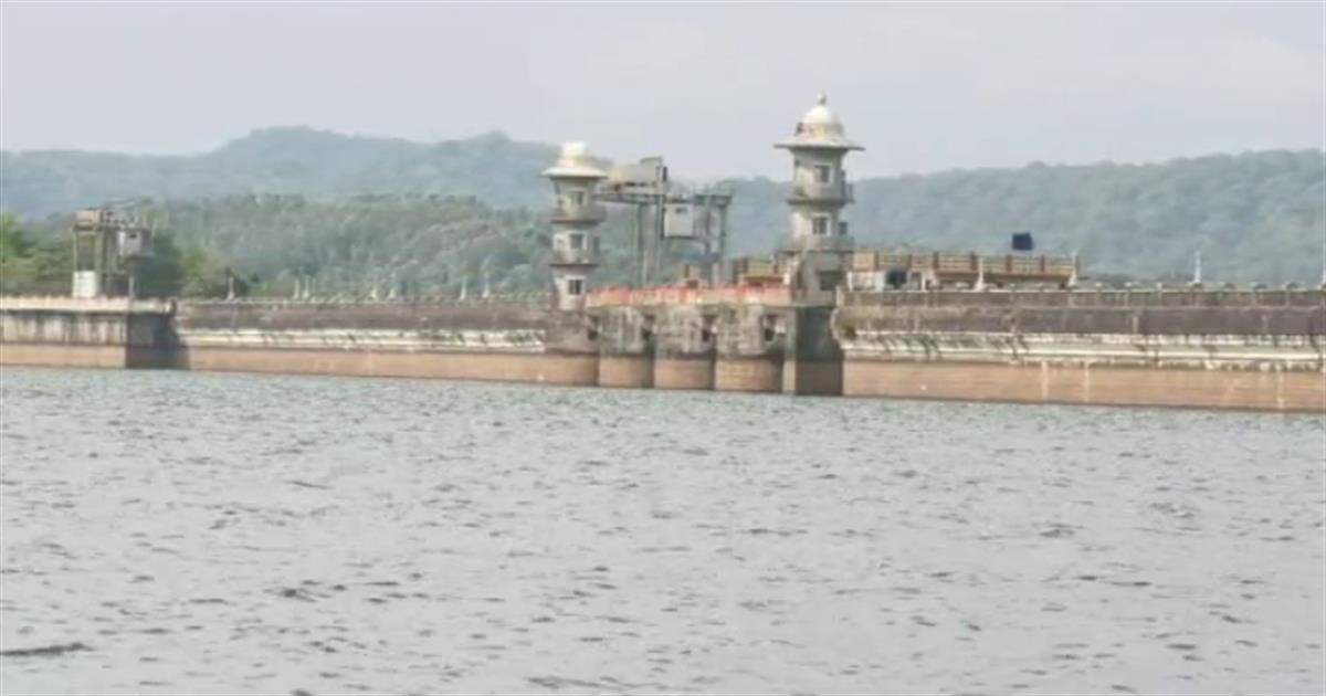 Category Image