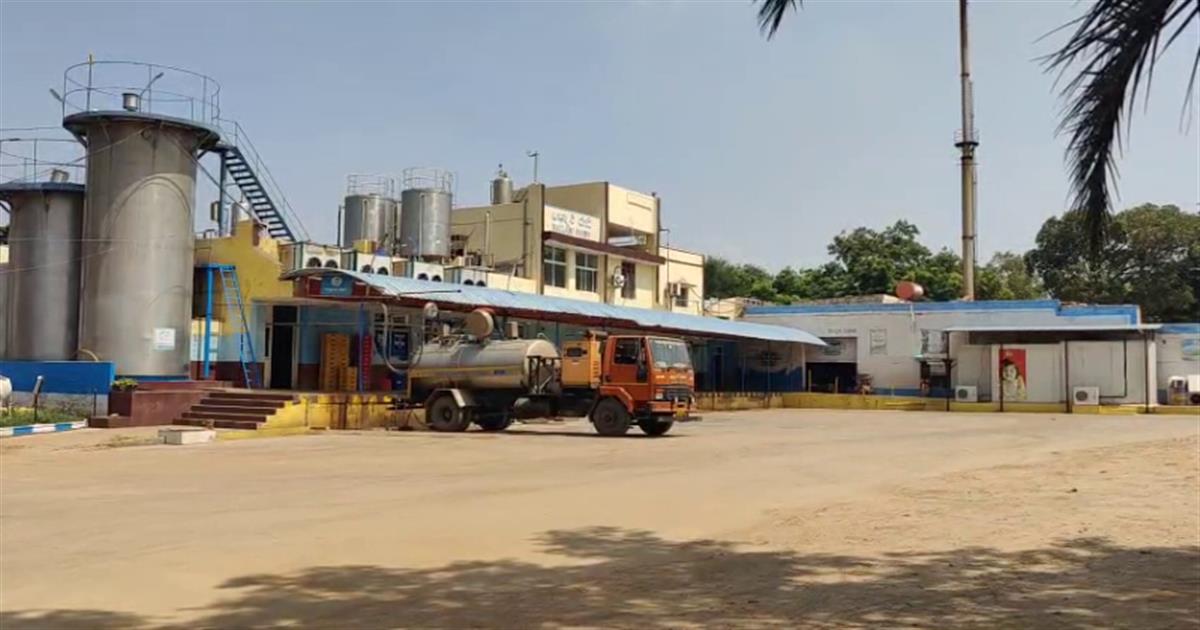 Category Image