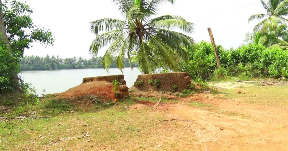Category Image
