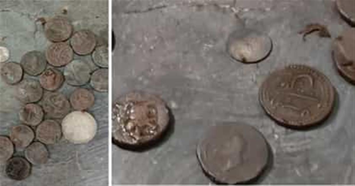 Category Image